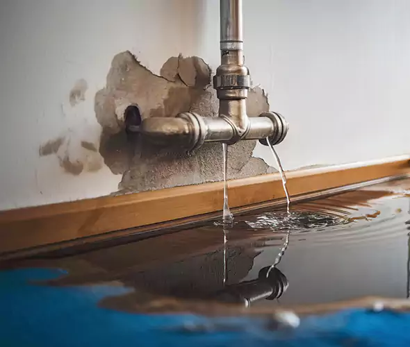 Professional Water Damage Restoration Experts in Glen Cove, NY — Fast, Reliable & Certified